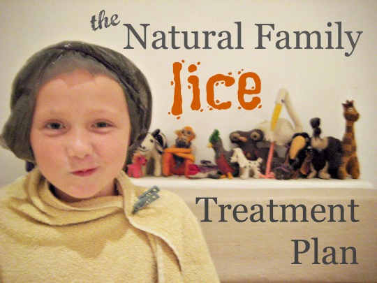 The Natural Family Lice Treatment Plan, from The Lice Maven, herself.