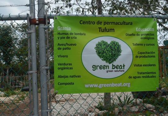 green beat permaculture tulum