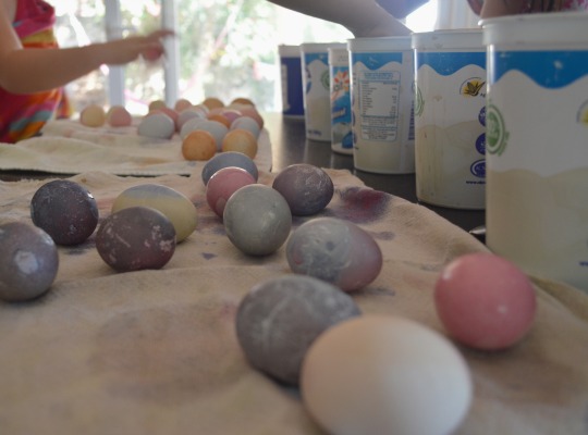 plant dyed easter eggs 2