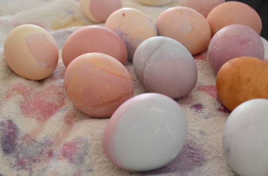 plant dyed easter eggs