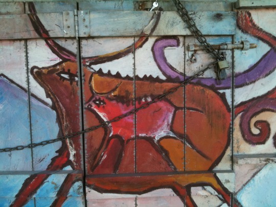 toros de Tulum 