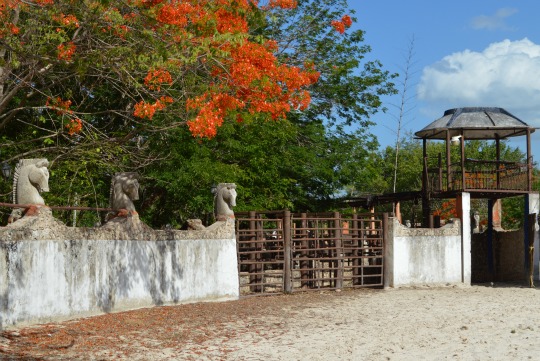 horse gate