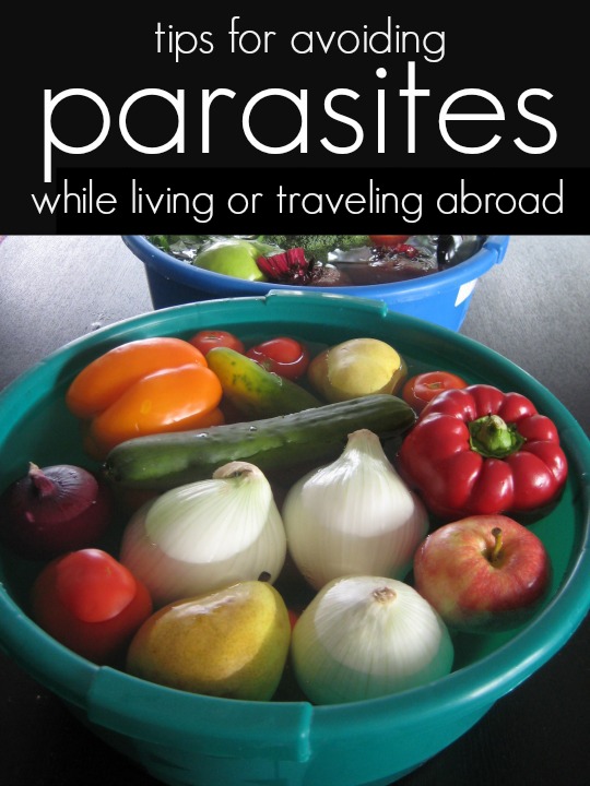 tips for avoiding parasites while living or traveling abroad