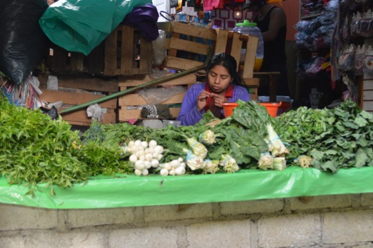 San Cristobal market