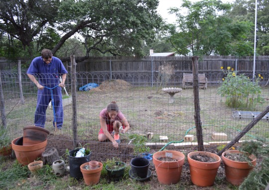 Our new renters (and dear friends!) are the first to restore our long-neglected garden. This makes me so happy. 