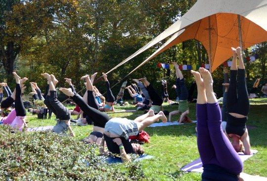 yoga class 2014 fall LEAF festival